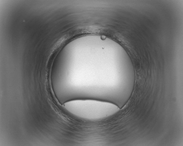 X0000063450679200601200955