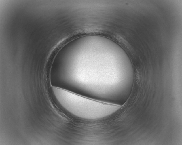 X0000063450684200601200955