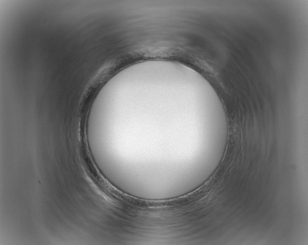 X0000063450686200601200955