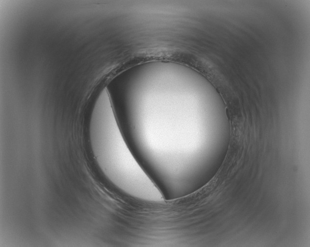 X0000063450692200601200955