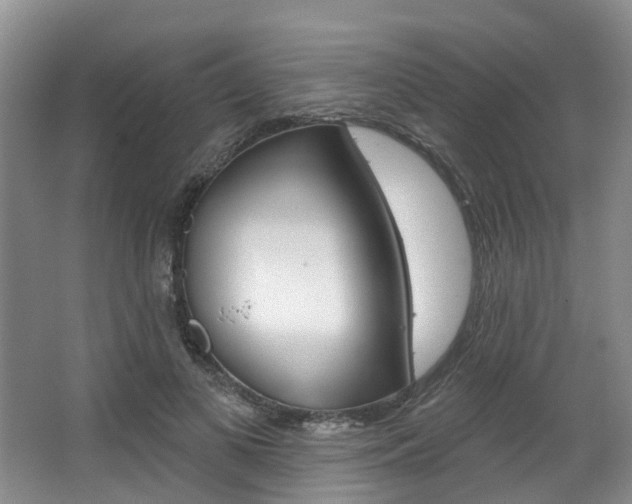 X0000063450693200601200955