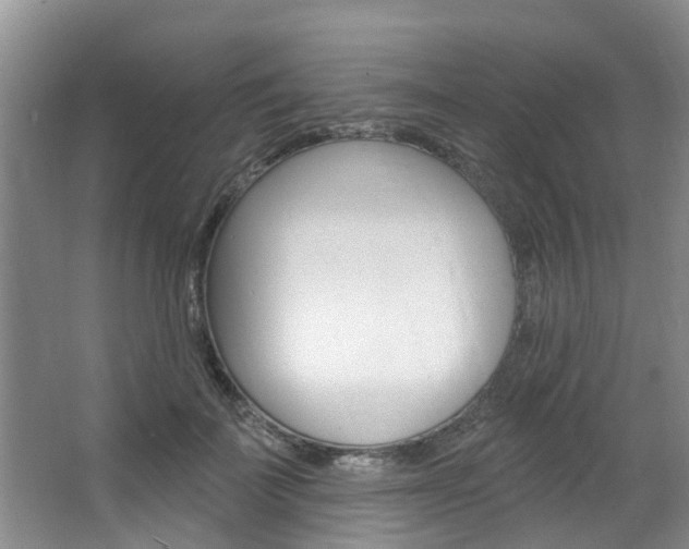 X0000063450699200601200955