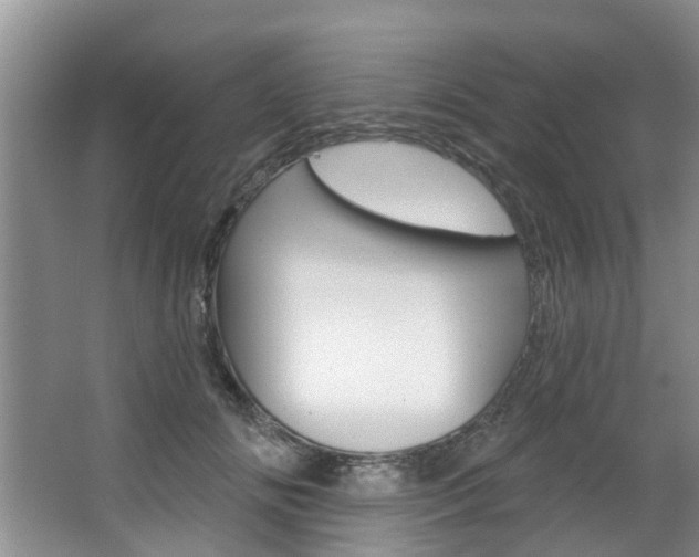 X0000063450702200601200955