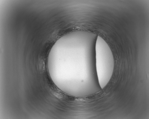 X0000063450703200601200955