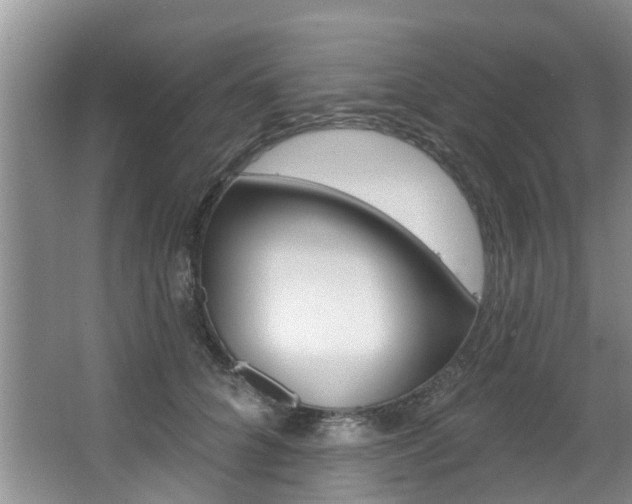 X0000063450704200601200955