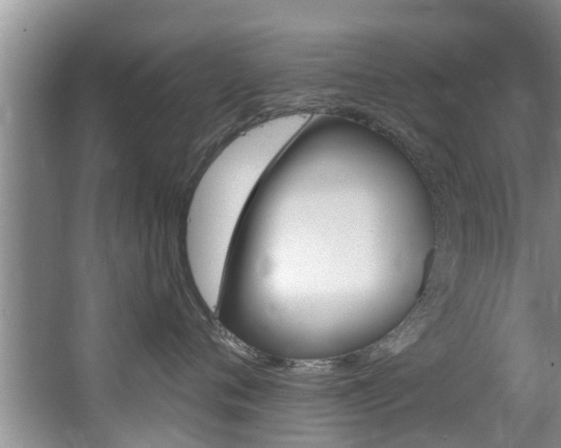 X0000063450720200601200955