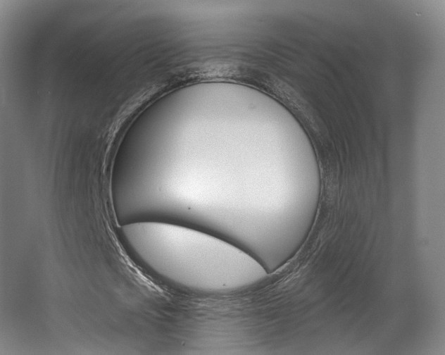 X0000063450721200601200954