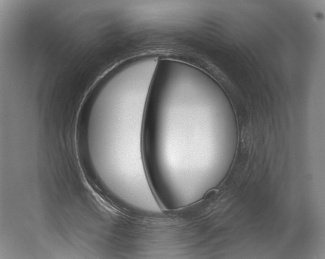 X0000063450722200601200954