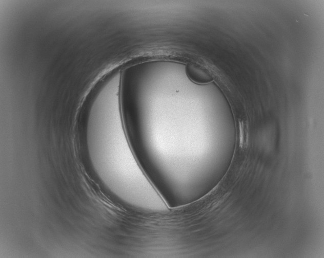 X0000063450723200601200954