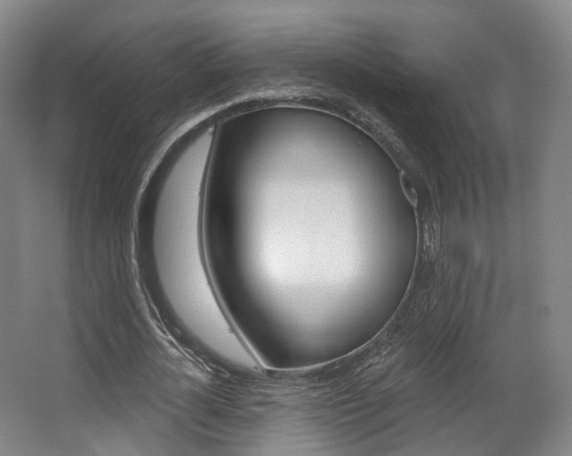 X0000063450724200601200954