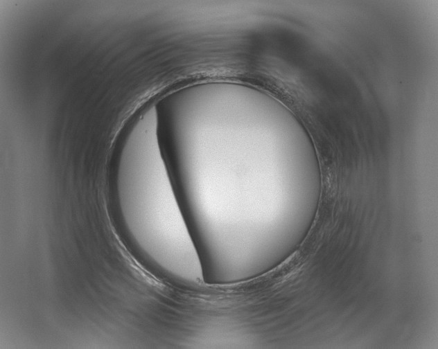 X0000063450725200601200954