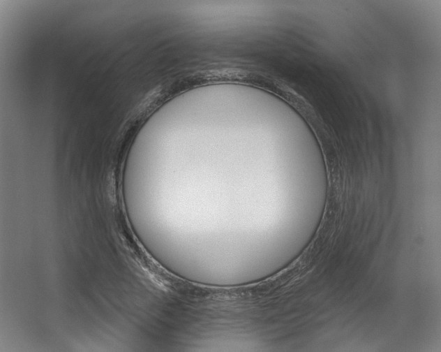 X0000063450729200601200954