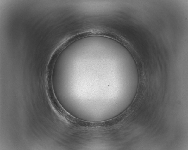 X0000063450730200601200954