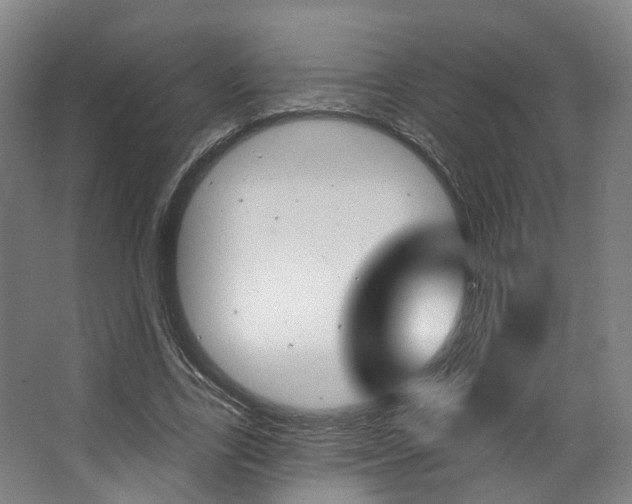X0000063450731200601200954