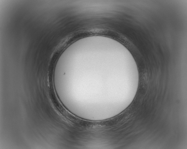 X0000063450734200601200954