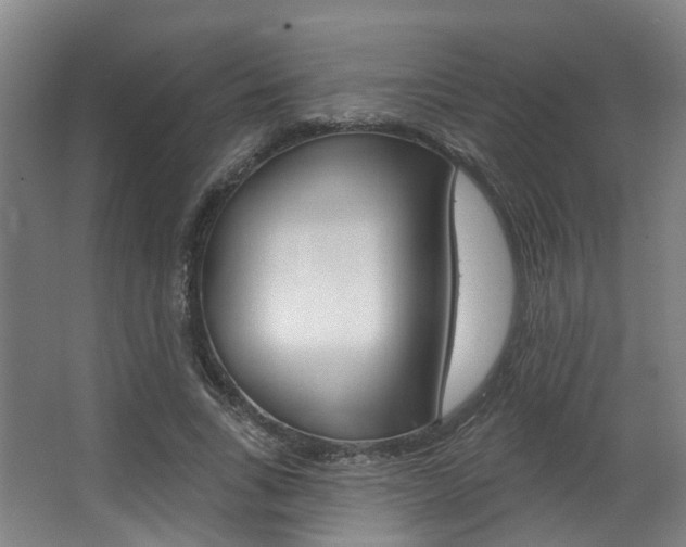 X0000063450735200601200954