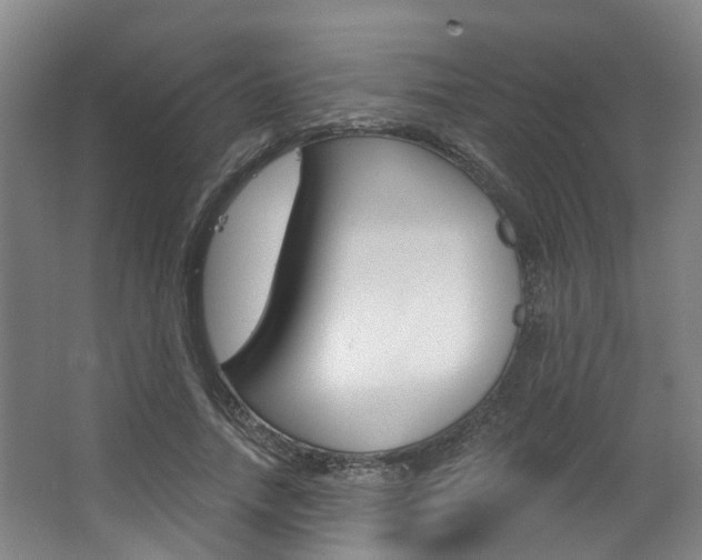 X0000063450738200601200954