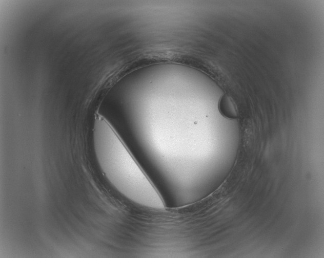 X0000063450739200601200954