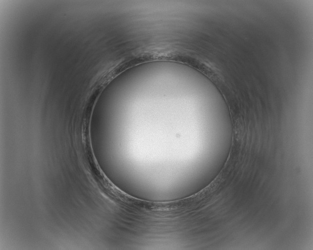 X0000063450740200601200954