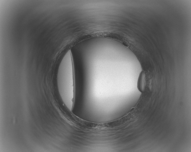 X0000063450742200601200954