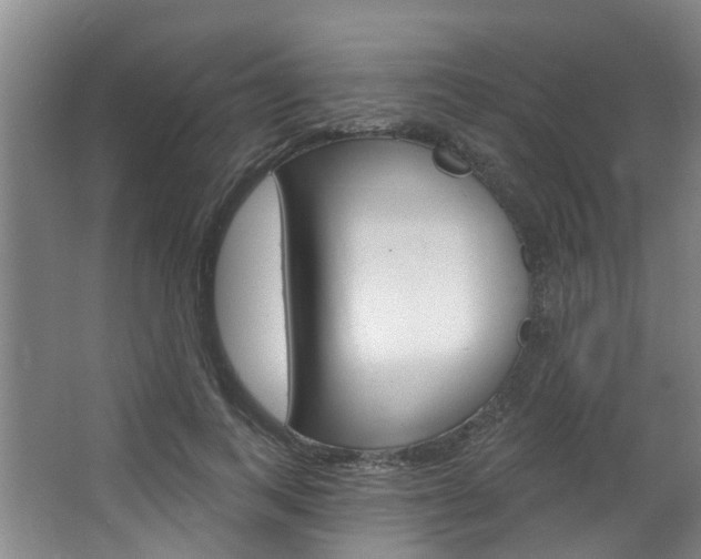 X0000063450743200601200954
