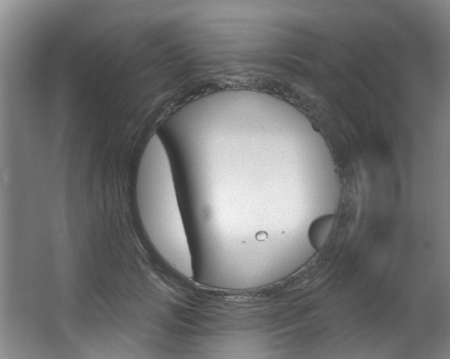 X0000063450749200601200954
