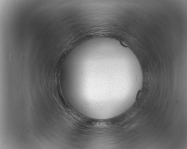 X0000063450751200601200954