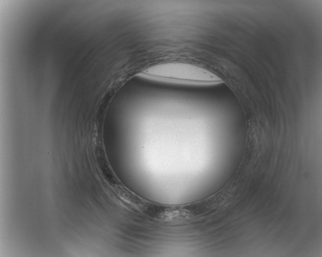 X0000063450752200601200954