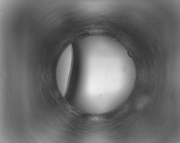 X0000063450755200601200954