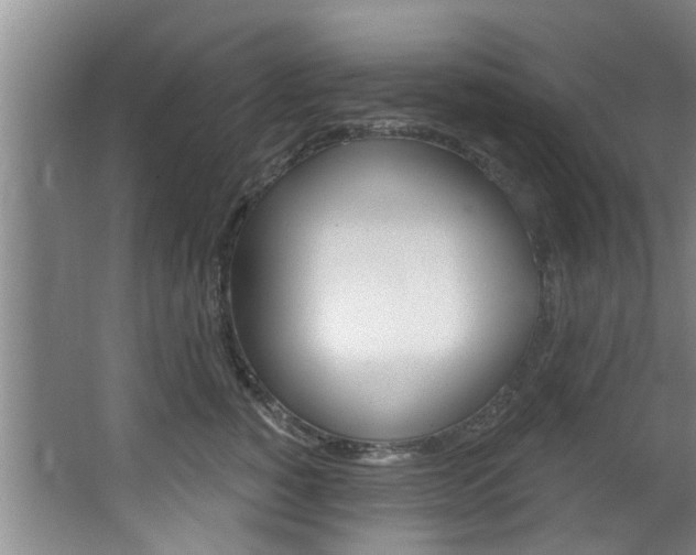 X0000063450760200601200954