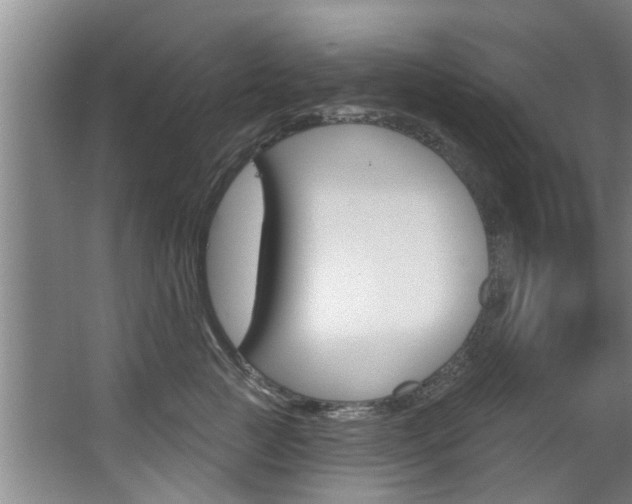 X0000063450761200601200954
