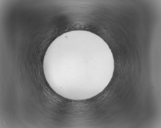 X0000063450769200601200954