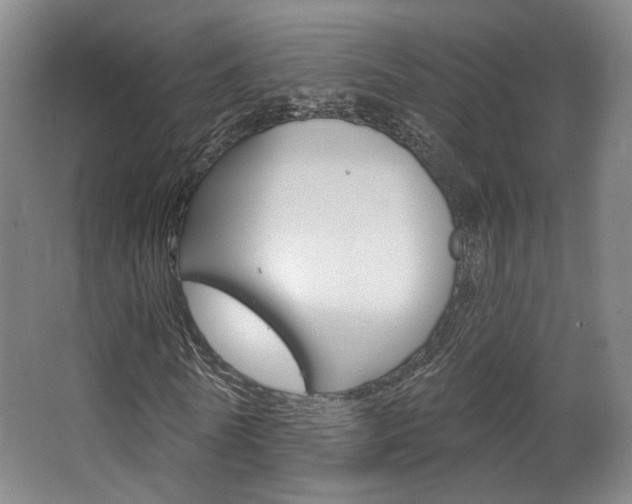 X0000063450770200601200954
