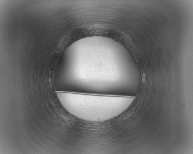 X0000063450771200601200954