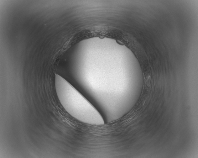 X0000063450772200601200954