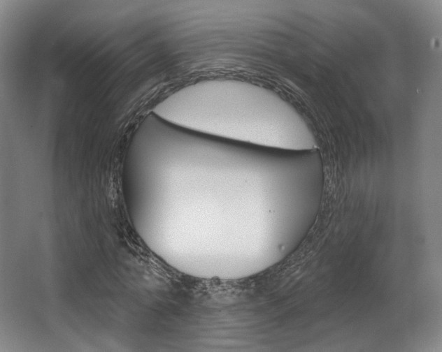 X0000063450774200601200954