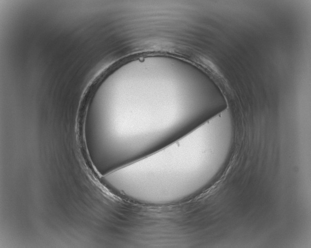 X0000063450780200601200954