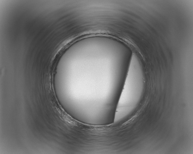 X0000063450781200601200954
