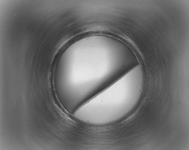 X0000063450783200601200954