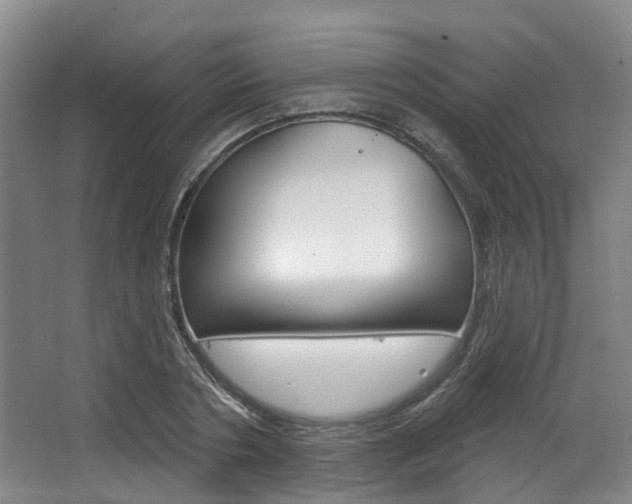 X0000063450786200601200954