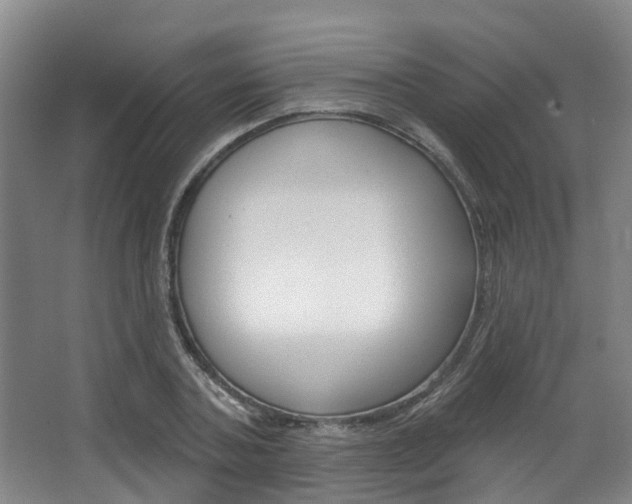 X0000063450787200601200953