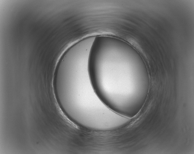 X0000063450797200601200953