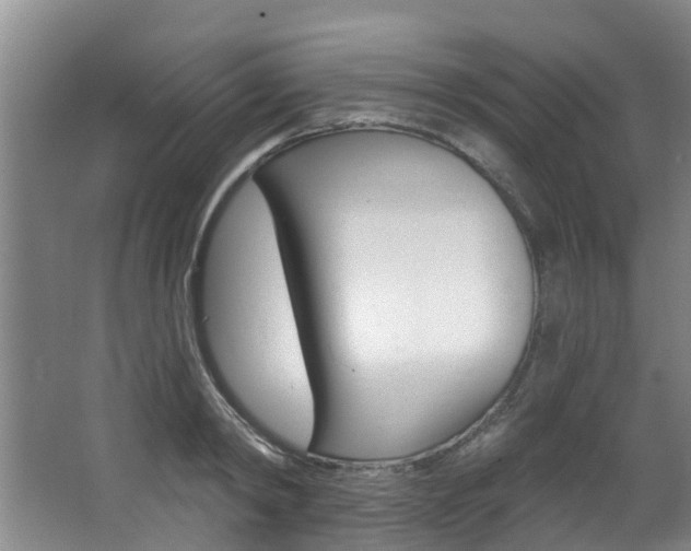 X0000063450798200601200953