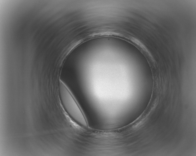 X0000063450801200601200953