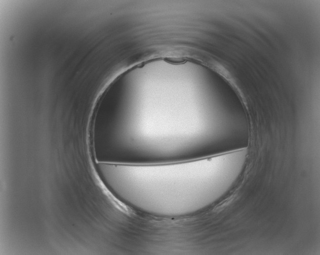 X0000063450803200601200953