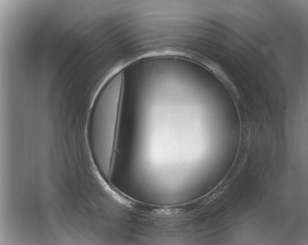 X0000063450805200601200953