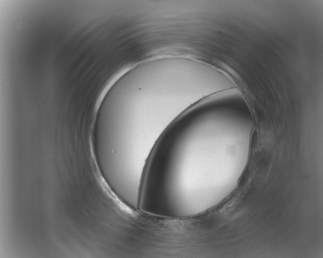 X0000063450812200601200953