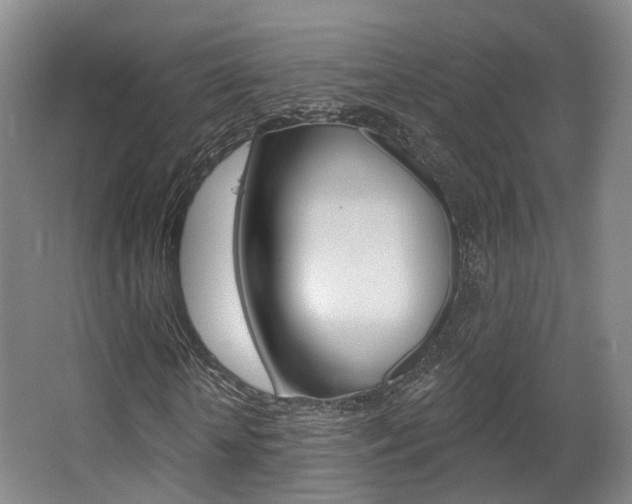 X0000063450818200601200952