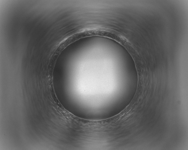 X0000063450822200601200952