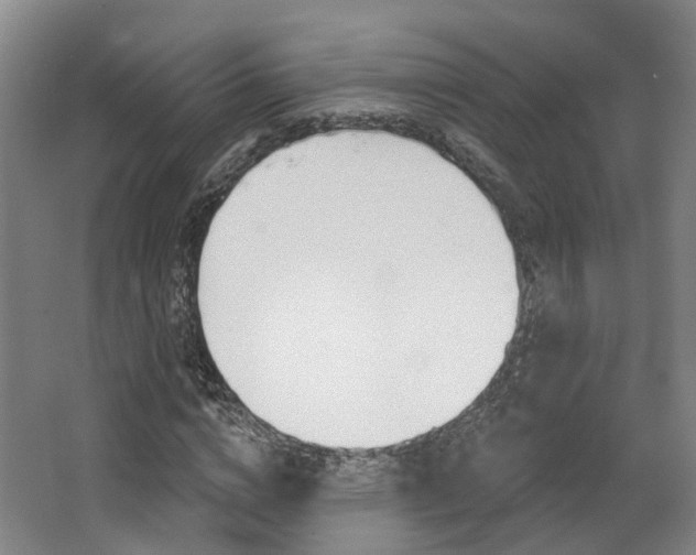 X0000063450824200601200952